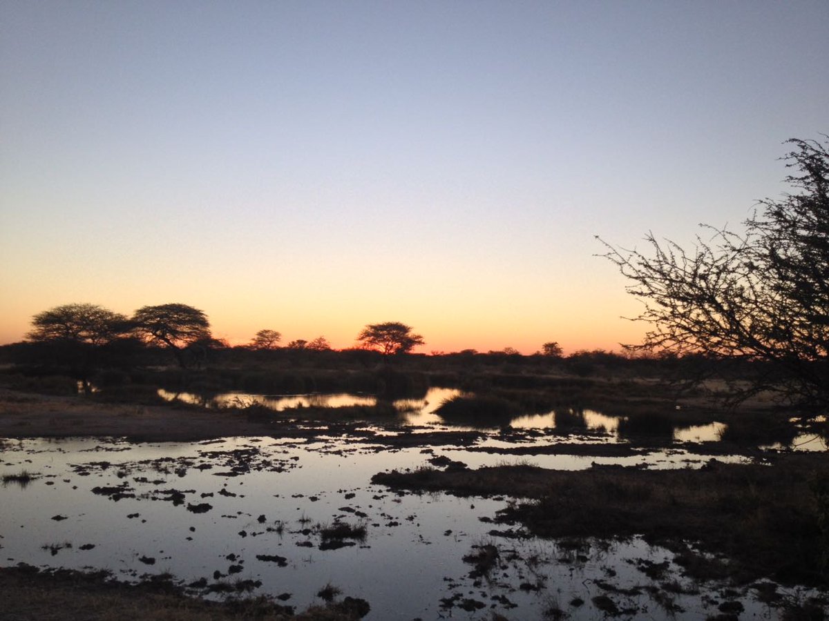 Big open spaces makes for beautiful sunsets of a different kind here at <a href="/onguma_safari/">Onguma Safari Camps</a> #onsitetraining #fieldguidetraining #namibia <a href="/rosshawkins2812/">Ross Hawkins</a>