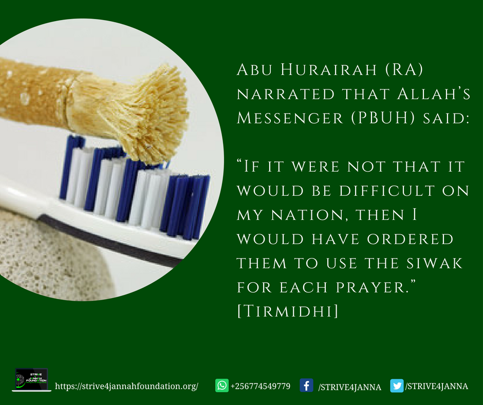 Strive4Janna's tweet photo. #StriveForJannah by #RevivingASunnah
Abu Hurairah (RA) narrated that Allah’s Messenger  (PBUH) said:
“If it were not that it would be difficult on my nation, then I would have ordered them to use the siwak for each prayer.”
 [Tirmidhi] https://t.co/LcXC3fMBkw
