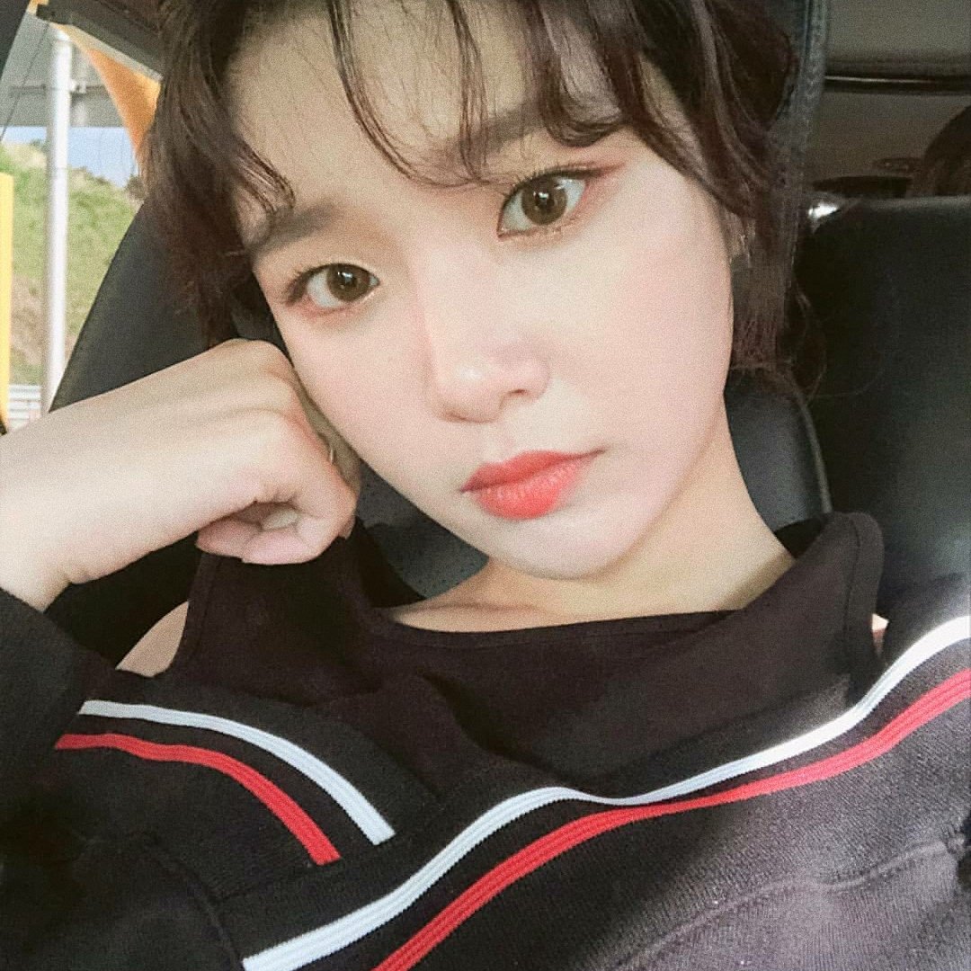 saysankyu's tweet photo. ❍ ELRIS ㅡ Bella packs .ㅅ.
✎retweet or love if you save my edit✧
#kpoppacks #kpoplayout #kpopaesthethics #packs #layout #bella #mixnine #elris #blris #aesthetics #layoutsupplier #mariposeisa https://t.co/VBOLuvAPS2