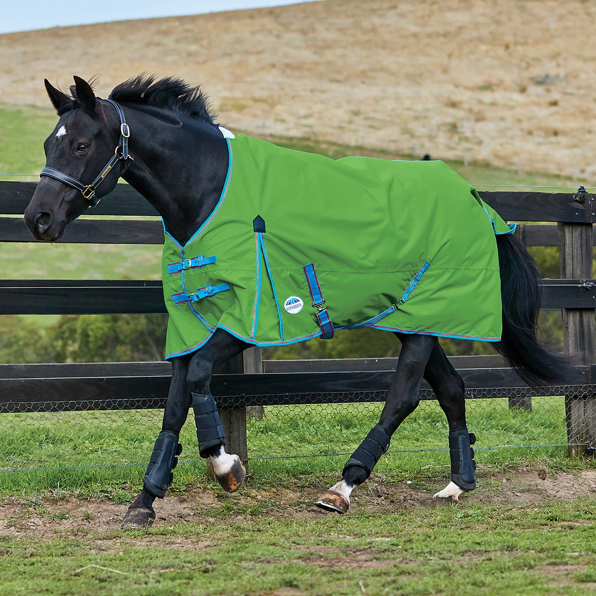 Save 28% on this WeatherBeeta ComFiTec Classic Standard Neck Lite Turnout... Now only £41.76
Shop now >>> ow.ly/cccE30l1i84