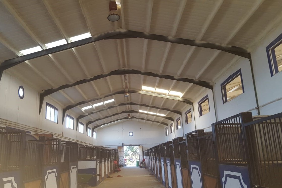 download Harry Potter e o Prisioneiro