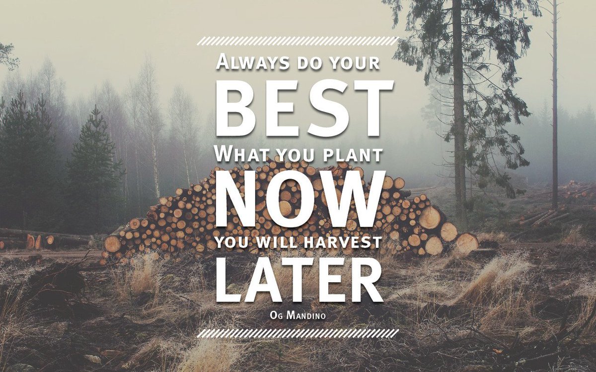 Grace_Of_God_JC's tweet image. 