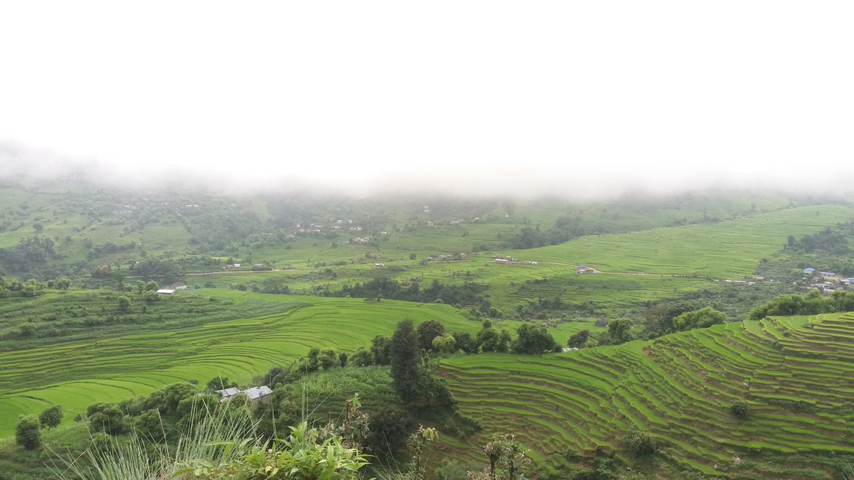 wildambu's tweet photo. #doti #wayal #nepal #nepalivillage
@VisitNepalY2020 @hello_tourismnp @RabindraADH https://t.co/0MP32qIUTo