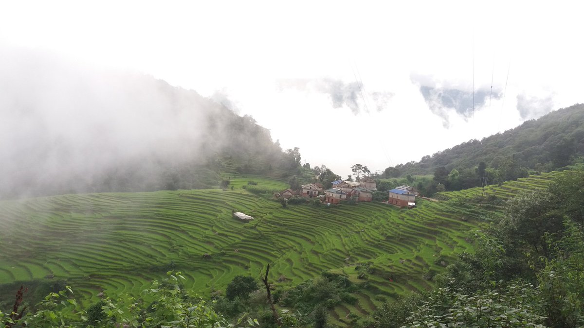 wildambu's tweet photo. #doti #wayal #nepal #nepalivillage
@VisitNepalY2020 @hello_tourismnp @RabindraADH https://t.co/0MP32qIUTo