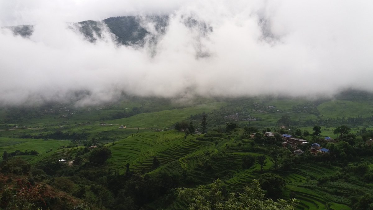 wildambu's tweet photo. #doti #wayal #nepal #nepalivillage
@VisitNepalY2020 @hello_tourismnp @RabindraADH https://t.co/0MP32qIUTo
