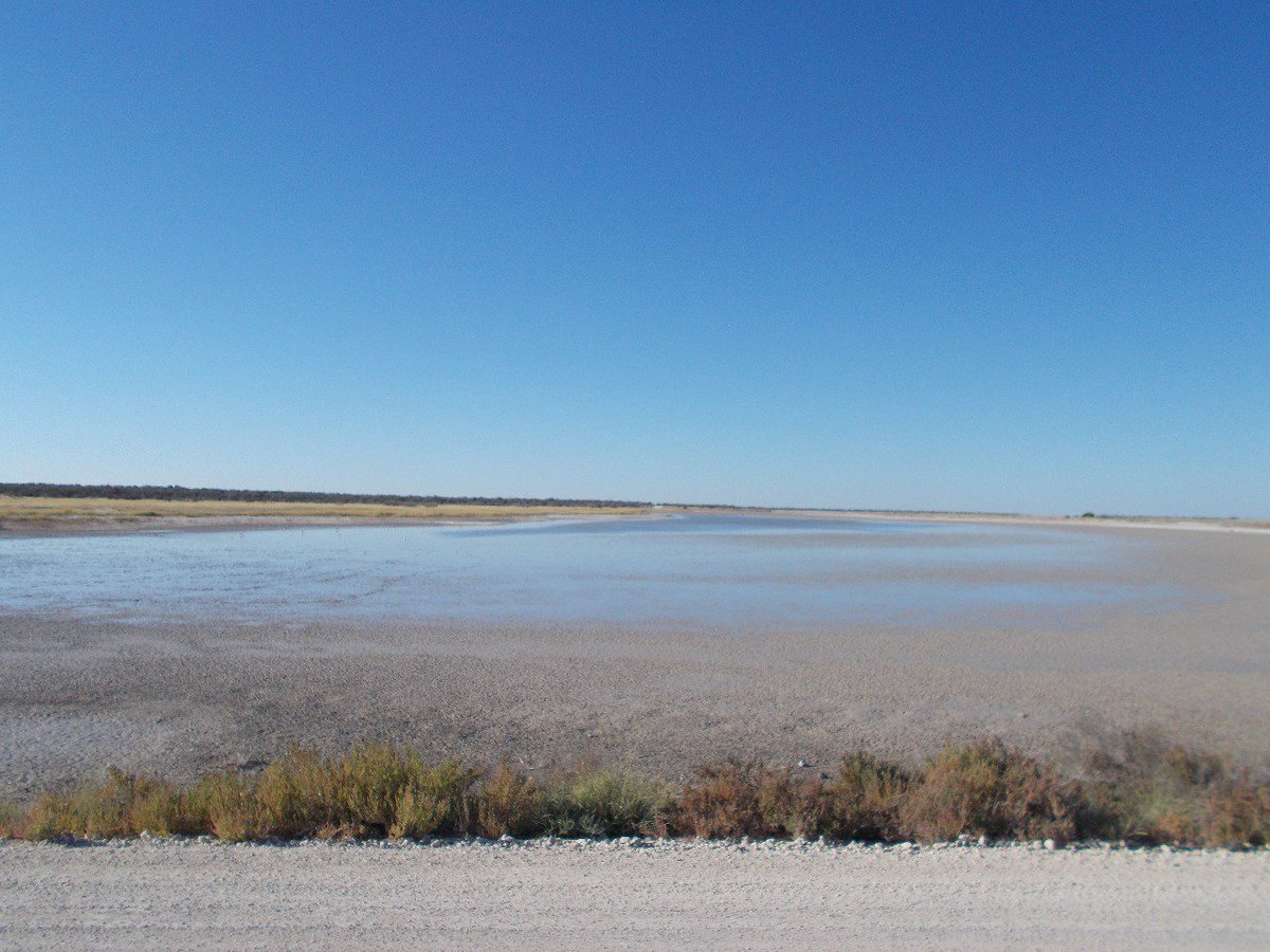 During <a href="/onguma_safari/">Onguma Safari Camps</a> onsite training <a href="/rosshawkins2812/">Ross Hawkins</a> got to see some beautiful wilderness areas. One of which was Fischer's Pan in Etosha. It is named for Lieutenant Adolf Fischer, a German cavalry commander of Namutoni. #namibia #fieldguidetraining