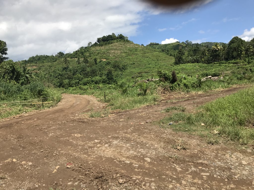 PahunM's tweet photo. Once known for producing over 20 tonnes cocoa/month.
Land now taken up by Foreign Oil Palm company#OilPalminvasion https://t.co/XBzNrLlvMQ