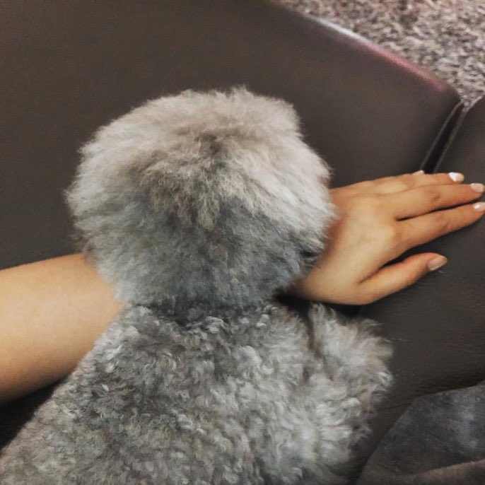 ArabSone9's tweet image. [ انستقرام ] 180731 - 
تحديث يوري : مرحباً ايها الطفل #DooE