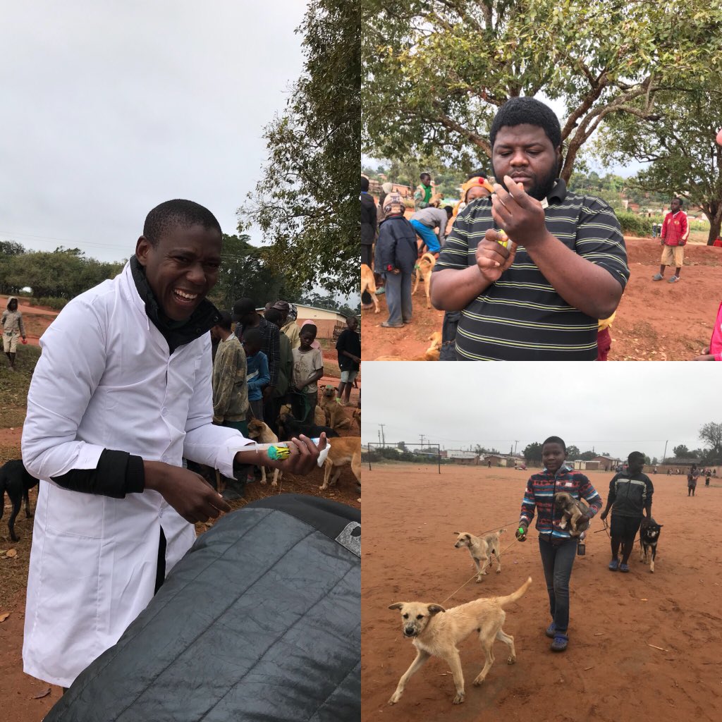 rabieswarriors's tweet photo. Thanks to everyone who made the Mzuzu Rabies campaign a success. #rabiesfreemalawi #rabiesfreeafrica #endrabies #zerobythirty https://t.co/sCl8XHQZPZ