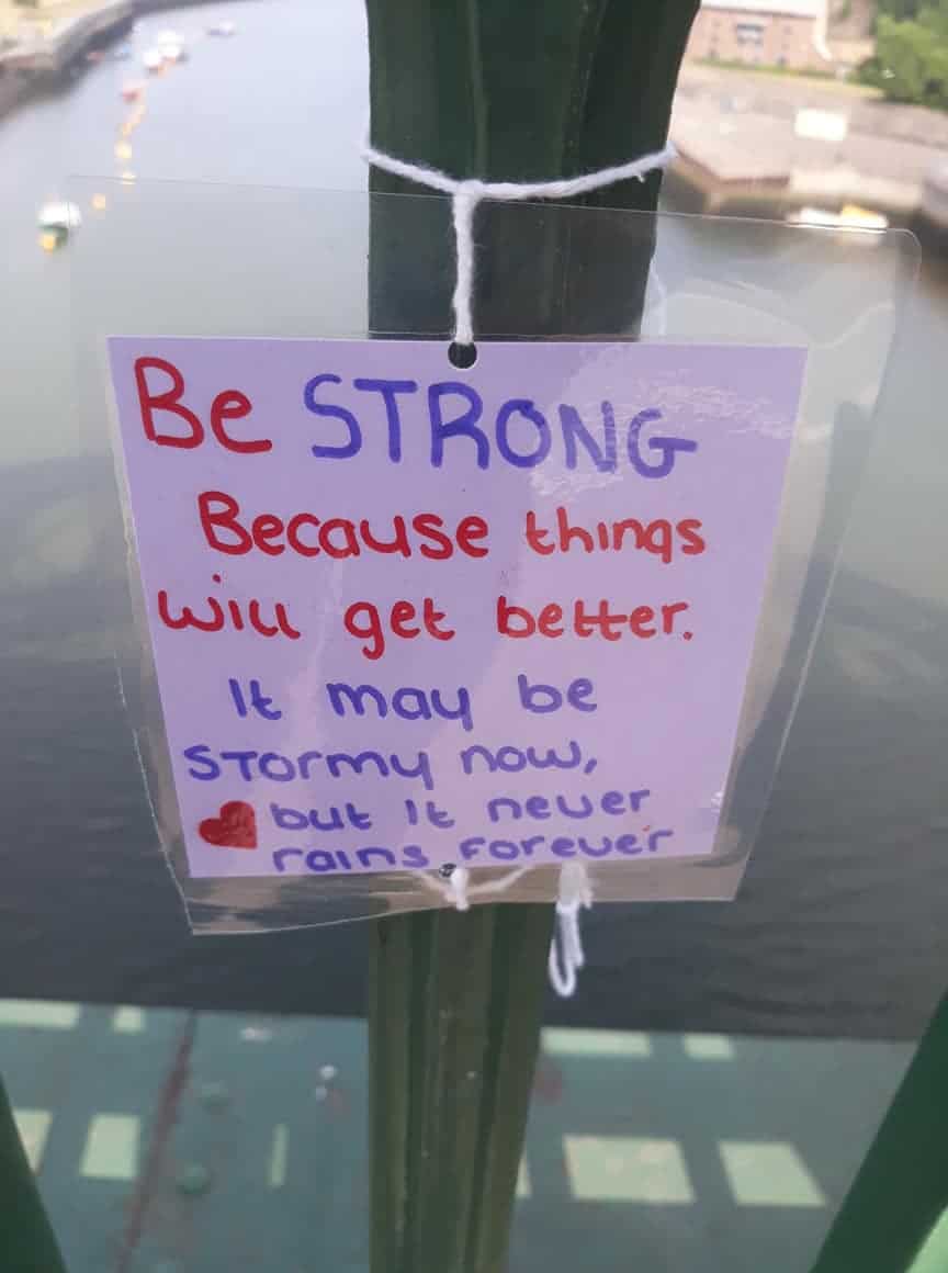 Gratitude DNA tweet media