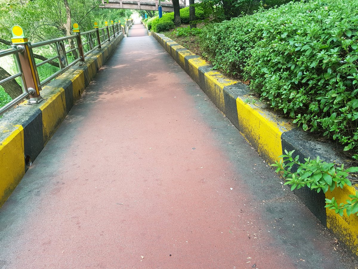 야탑3동 관내 소하천인 야탑천 정화활동을 수행했습니다. 깨끗한 소하천 환경을 만들기 위해 노력하는 야탑3동 지역공동체가 되겠습니다. :)

#성남시 #야탑3동 #지역공동체