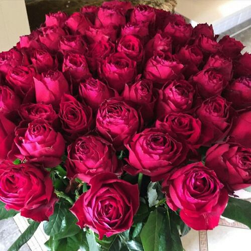 DrAngela11's tweet photo. Flowers For My Sweet Friends Here.. Please Send Them Forward ❤
#Roses #Friends #Beauty https://t.co/OPkFHsIr7P