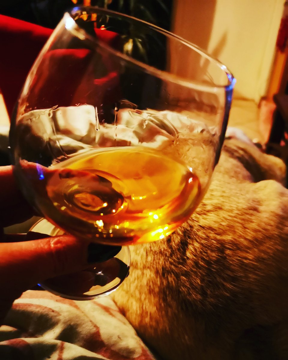 Boozy_Foodie's tweet photo. Reasons to love winter:
Cosy evenings under the duvet with @le_bon_sauvage_, a pug on my lap and a glass of @OudeMolenBrandy! Bliss!
#CapeBrandy #elginvalley #brandylife #brandyweather #proudlysouthafrican #liquidgold #winterwarmer #wintersipping #SAVineShare https://t.co/FVpGnImPOE