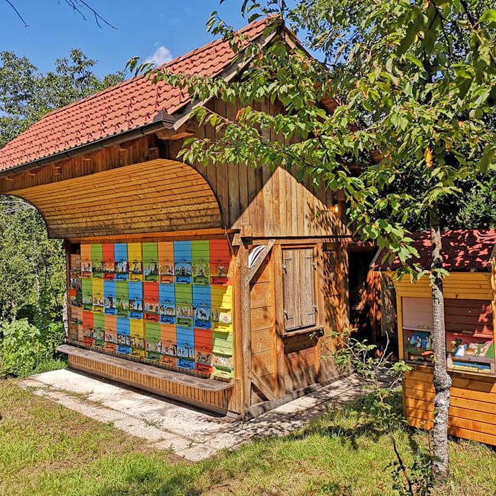 🐝#beekeeping has a long #tradition in #Dolenjska  #ifeelslovenia 💚