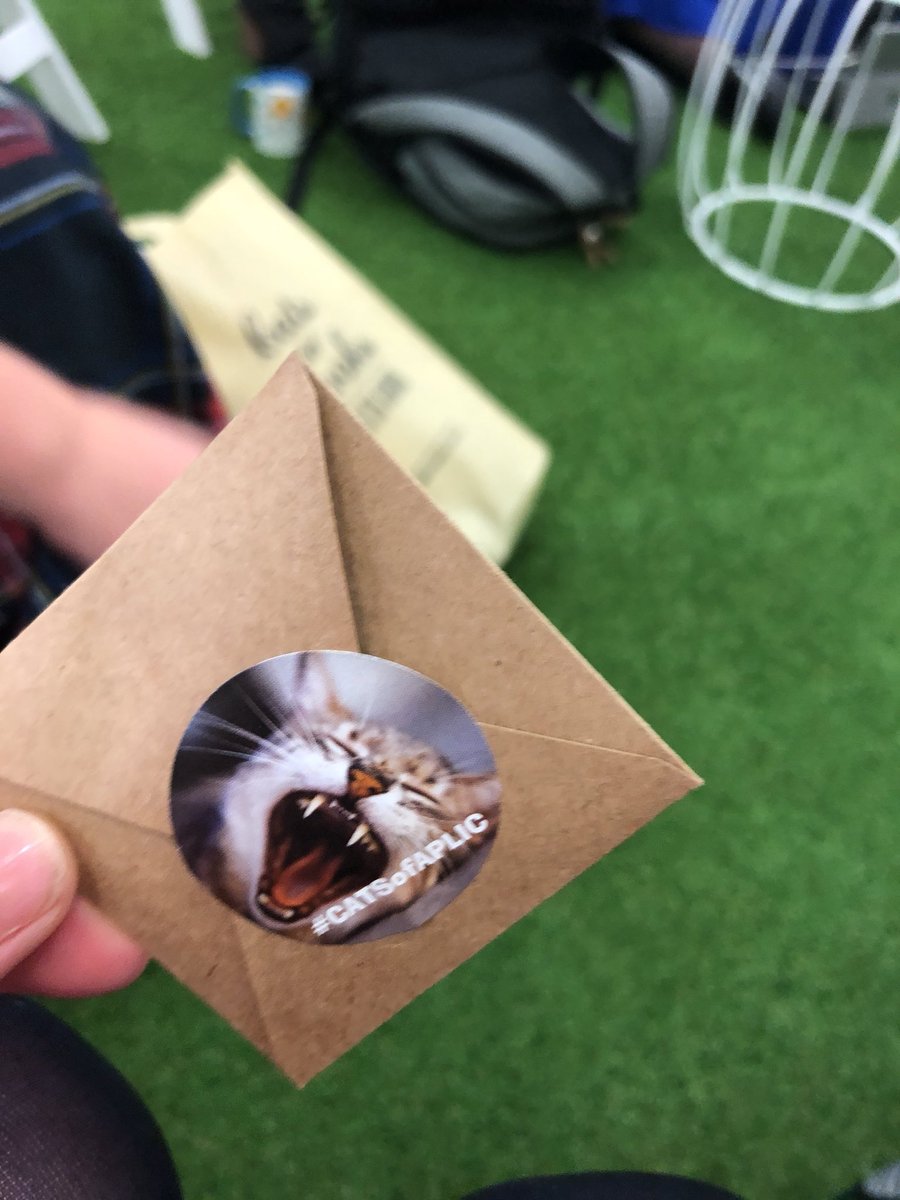 misslibbyc's tweet image. #CATSofAPLIC thanks for the gift #aplic18 @ALIANewGrads