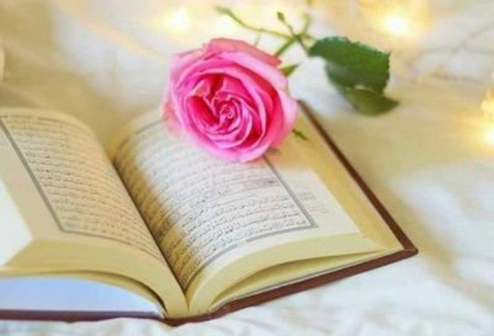 اللهـمّ إنا نسألك صحة بلا علل ، وإيمانًا بلا خلل ، وعملاً بلا جدل ، ونعوذ بك من غرور الأمل ، والخطأ والزلل ، وضعف البدن ، اللهـم في هذا الصباح ، نسألك صدق التوكل عليك ، وحُسن الاعتماد عليك ، وقوة اليقين بك ، اللهم سخّر جوارحنا لطاعتك واملأ قلوبنا بحبك ، اللهـم آمين 💕 » ..