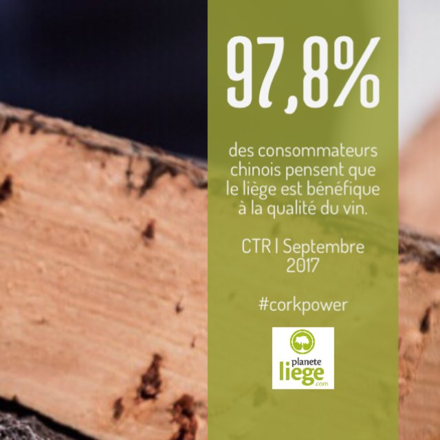 planeteliege's tweet photo. [#CORKPOWER] 97,8% des consommateurs chinois pensent que le bouchage liège est symbole de qualité du #vin ! Ça en fait des corklovers en Chine ! #wine 😍 https://t.co/iG8wtaoqeJ