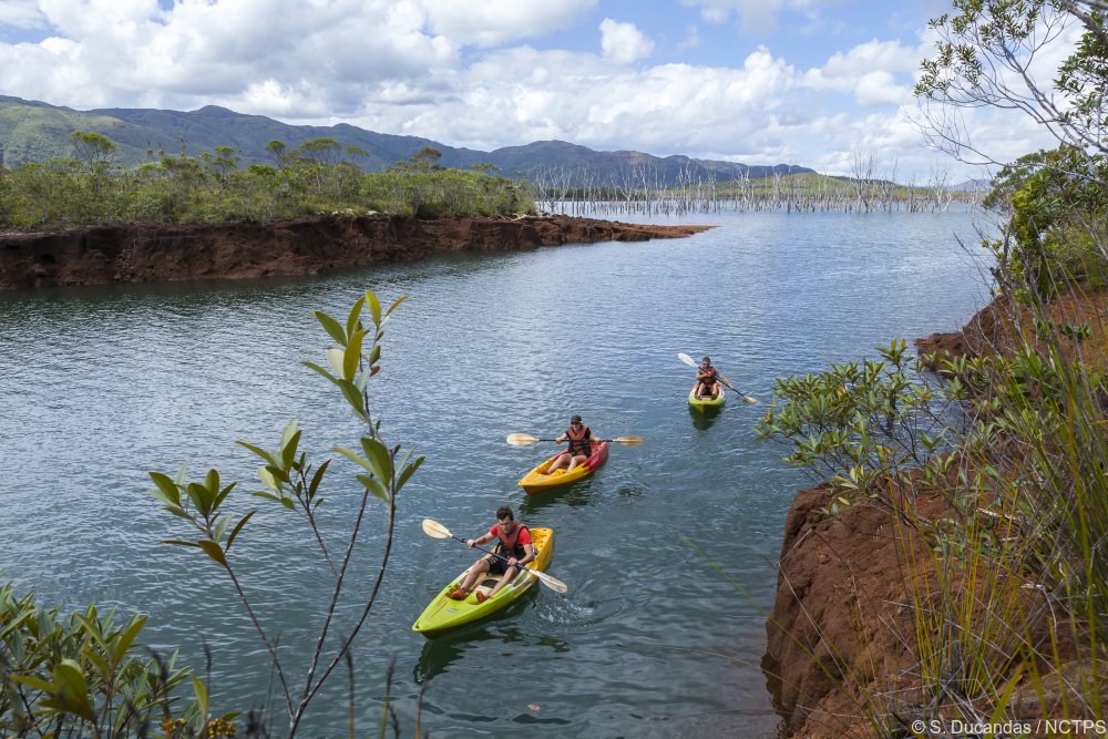 Nouvl_Caledonie's tweet photo. Partez à la #découverte du Parc Provincial de la Rivière Bleue en #kayak : #paysages de #TerreRouge et #ForêtNoyée au #rdv ! 👌
#NouvelleCaledonie #PPRB #activités
➡ https://t.co/DXbFblw76R https://t.co/9YLEgANegE