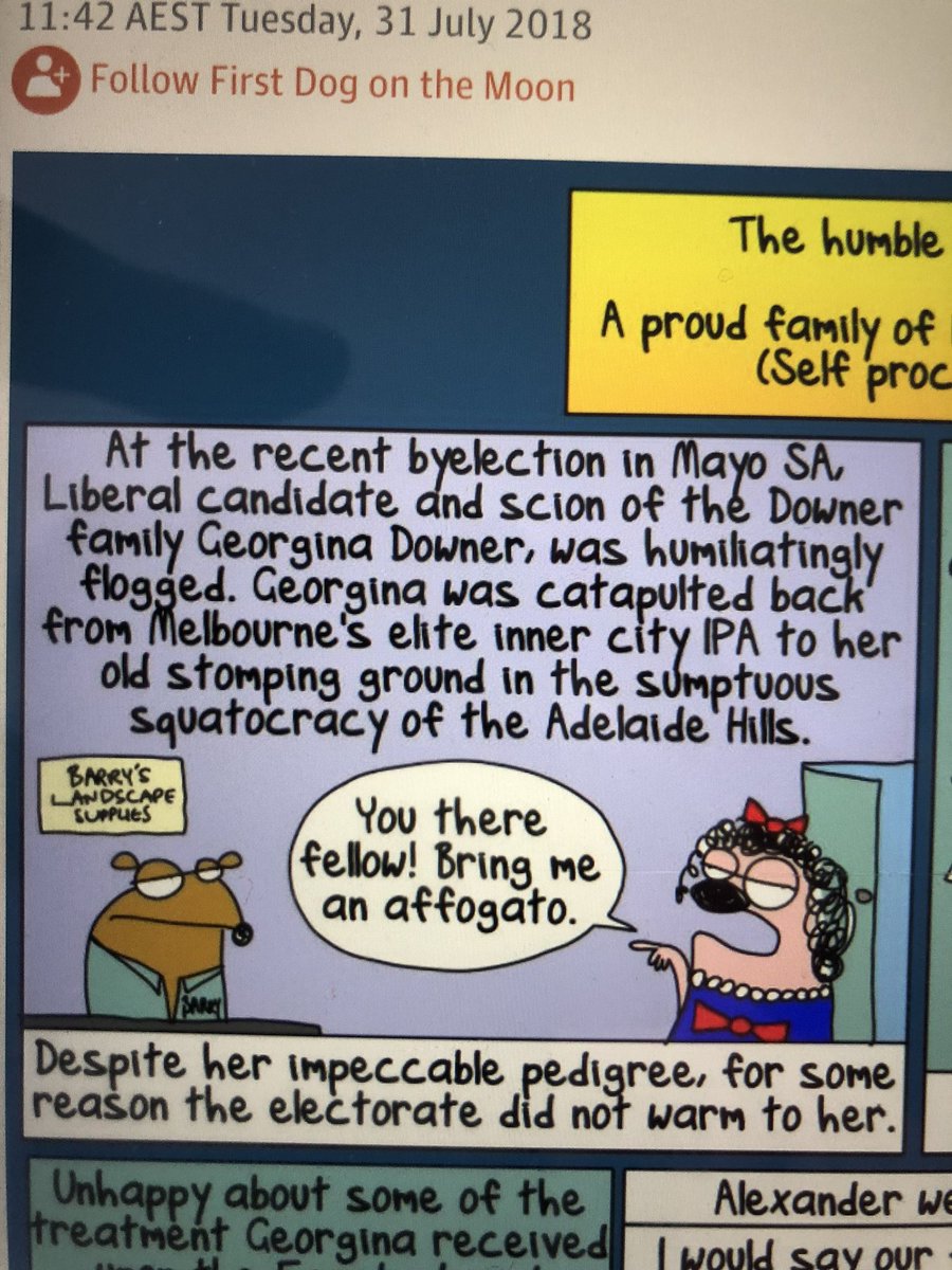 drmdunn1's tweet image. This honestly has me crying with laughter. I’ll be yelling this at people all week #firstdogonthemoon