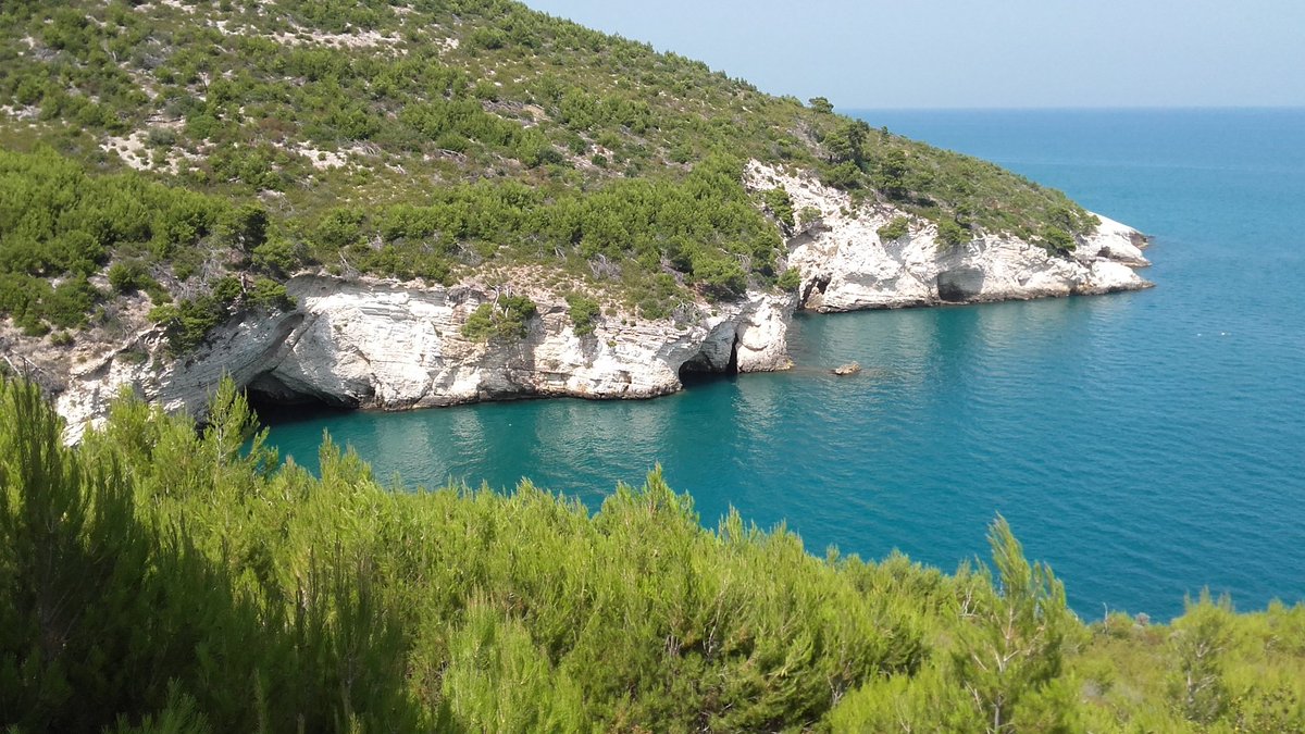 Fabrizi61's tweet photo. Di tanto in tanto รจ bene fare una pausa nella nostra ricerca della felicitร ed essere semplicemente felici (G. Apollinaire)
#buongiorno #31luglio #travel #nature #gargano #vieste #mare #nelblu #nelverde #missyou #wanttocomeback #myphoto https://t.co/XETpvSgENC
