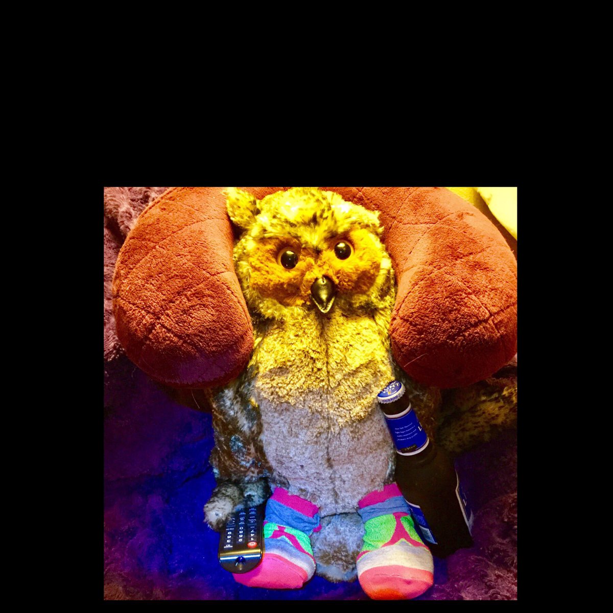 aim4starz's tweet photo. LAST CALL before another night of #BBAD wraps. Drink up #nesties Almost time for me to climb in bed with my Orwell lookalike #GeorgeClone-y 😘🦉 Oh BABY!
#BB20 @BBADOrwell @PopTV https://t.co/kdWfNs2DI3