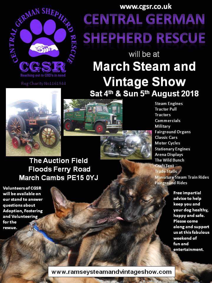 #germanshepherdogs #steam #wheretogo #dogfriendly