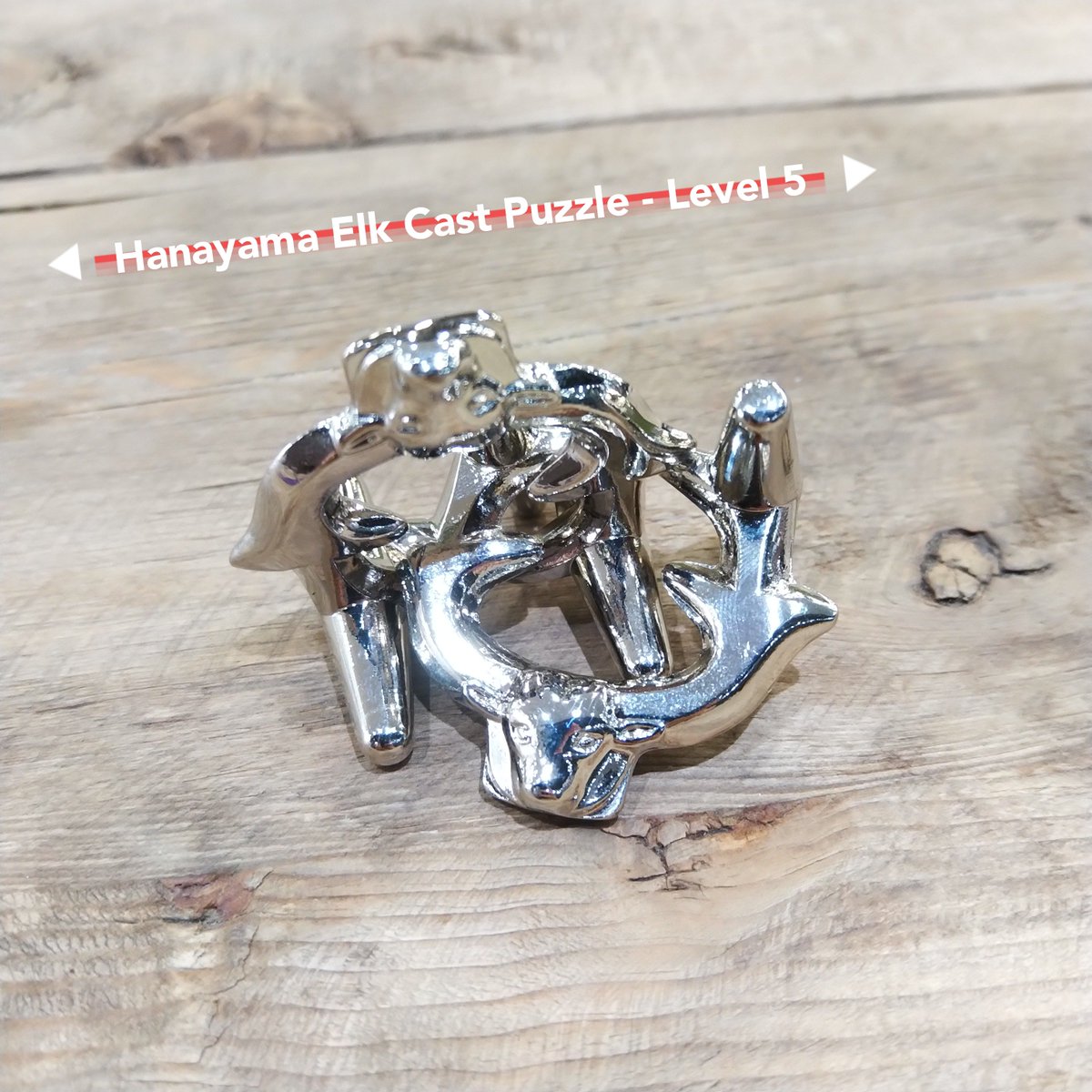 puzzlemaxcom's tweet photo. Hanayama Elk Cast Puzzle - Level 5. It's not easy to free the antlers and put them back together. ๐ค
๐https://t.co/F4egb9lCpq
#puzzlemax #hanayama #hanayamaelk #huzzle #puzzles #brainteaser #iq #challenege #puzzlelover #interlocking #3dmetalpuzzle #metalpuzzle #japanesepuzzle https://t.co/rvqLpVkzln