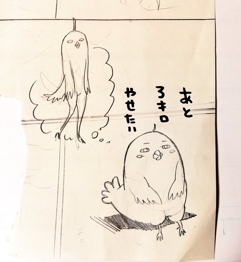 いまだと5キロだなー… 