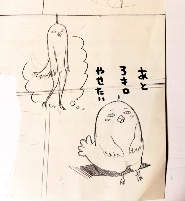 いまだと5キロだなー… 