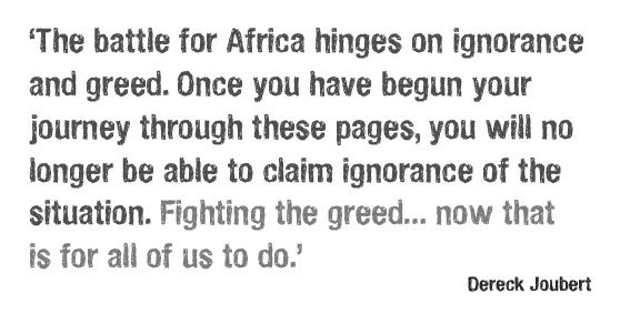 Dereck Joubert tweet media