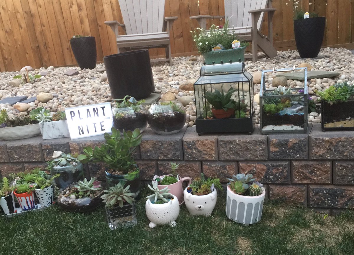 don_e_mah's tweet photo. #Plantnite https://t.co/ujmR2kgXNV