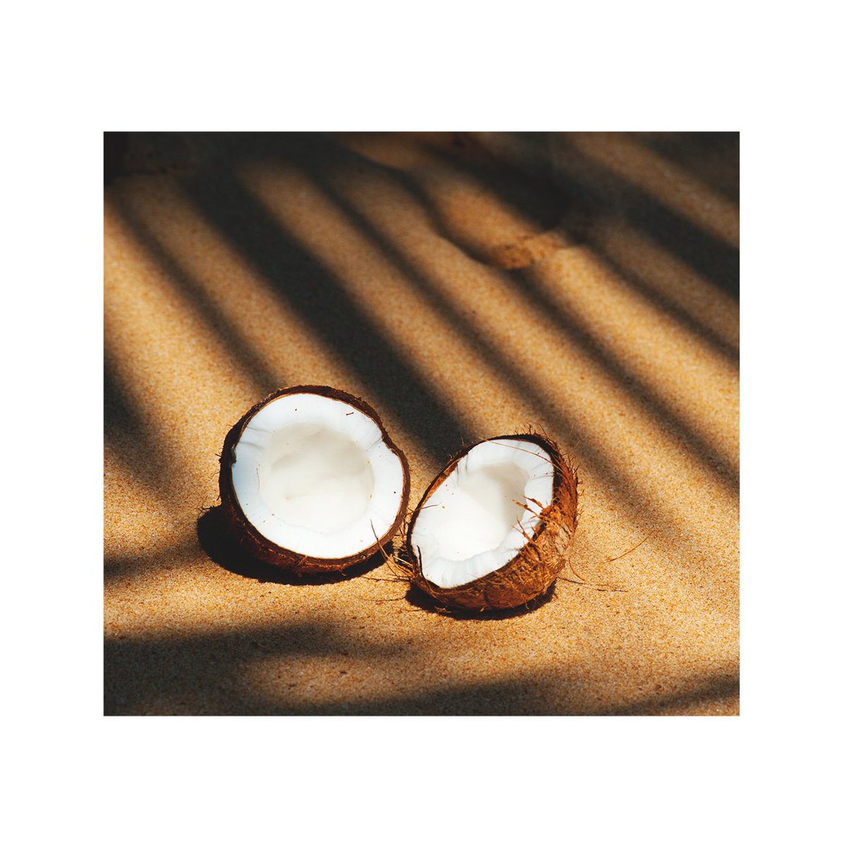 50mlMilano's tweet photo. Tutti pazzi per il Cocco!  Scopri le proprietà e i benefici del cocco nella tua beauty routine!
Everybody is crazy for Coconut! Discover the properties and benefits of coconut on your beauty routine! https://t.co/uxYkJfQvYS