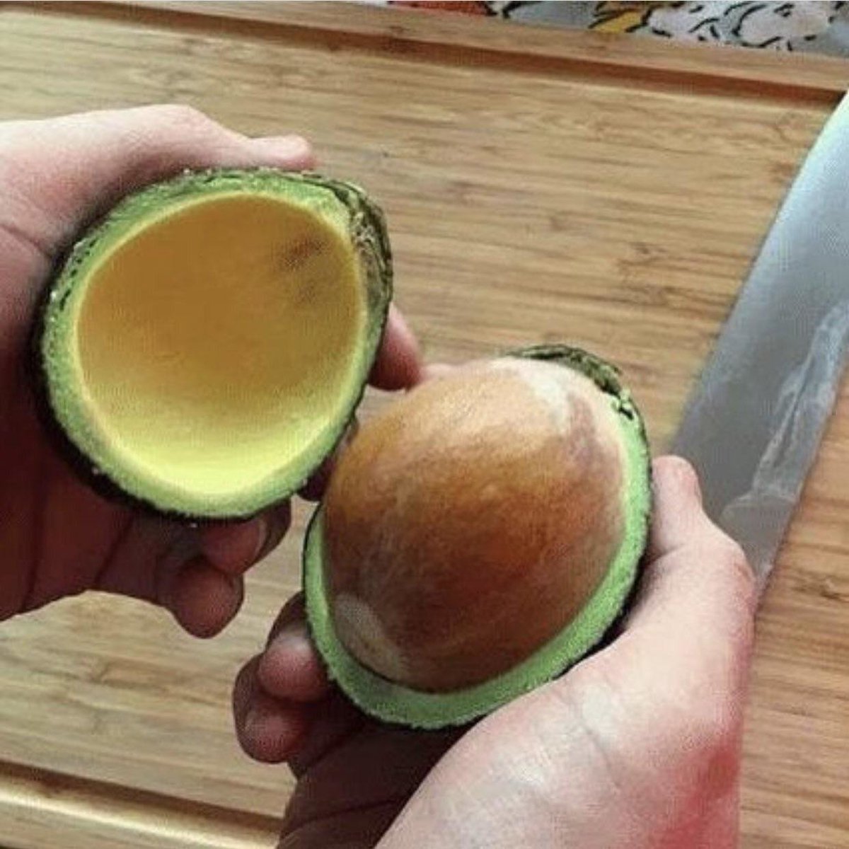 BarrettAll's tweet photo. What fresh hell is this?! 🥑 #TuesdayThoughts #NationalAvocadoDay https://t.co/lTCcgN6UOK