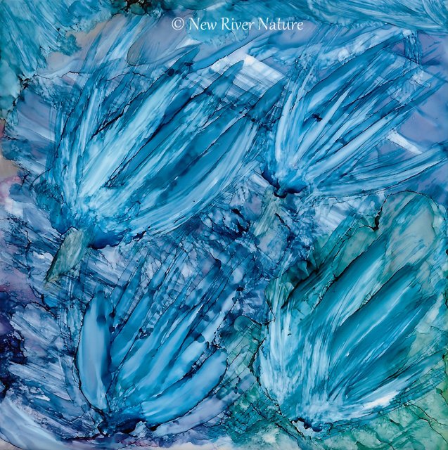 Inspired by Blue Chicory #Wildflowers ~  goo.gl/aQVt1T ~ The Four Flowers ~  goo.gl/EfdJAf ~ An #Original #AlcoholInk #Painting ~ #NewRiverNatureArt #Art #NewRiverNature