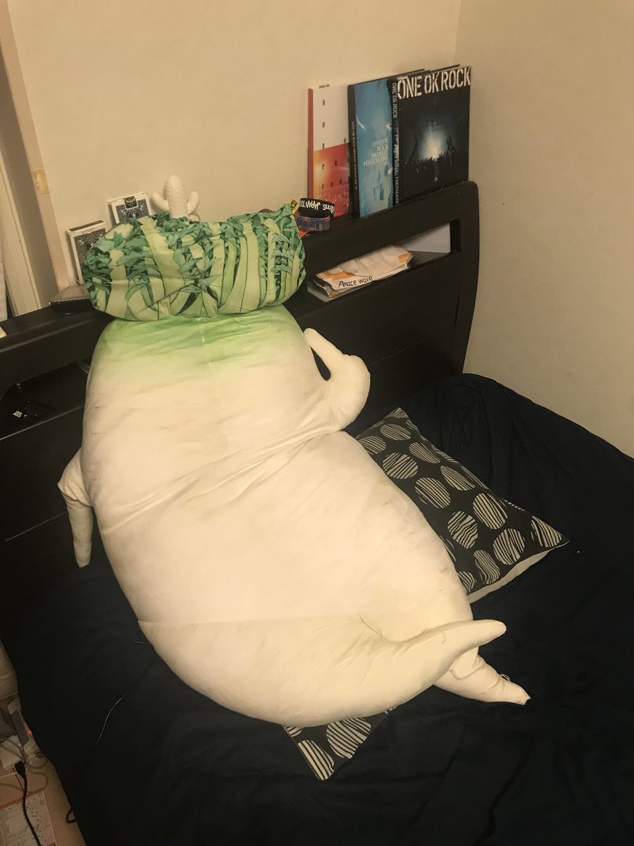 Kenta בטוויטר つい 買っちゃった セクシー大根抱き枕