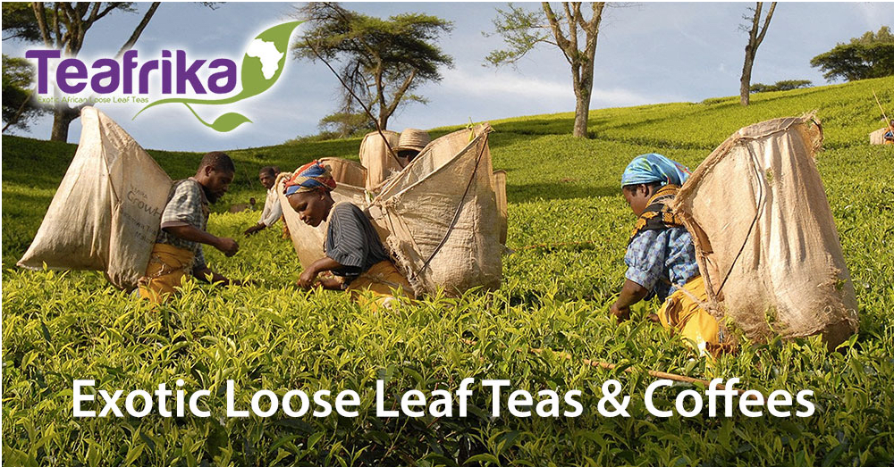 nearest's tweet photo. Craving something exotic in your cup? Try Loose leaf African teas at @teafrika https://t.co/IswYFv0XRA https://t.co/7tOOpSnWFB