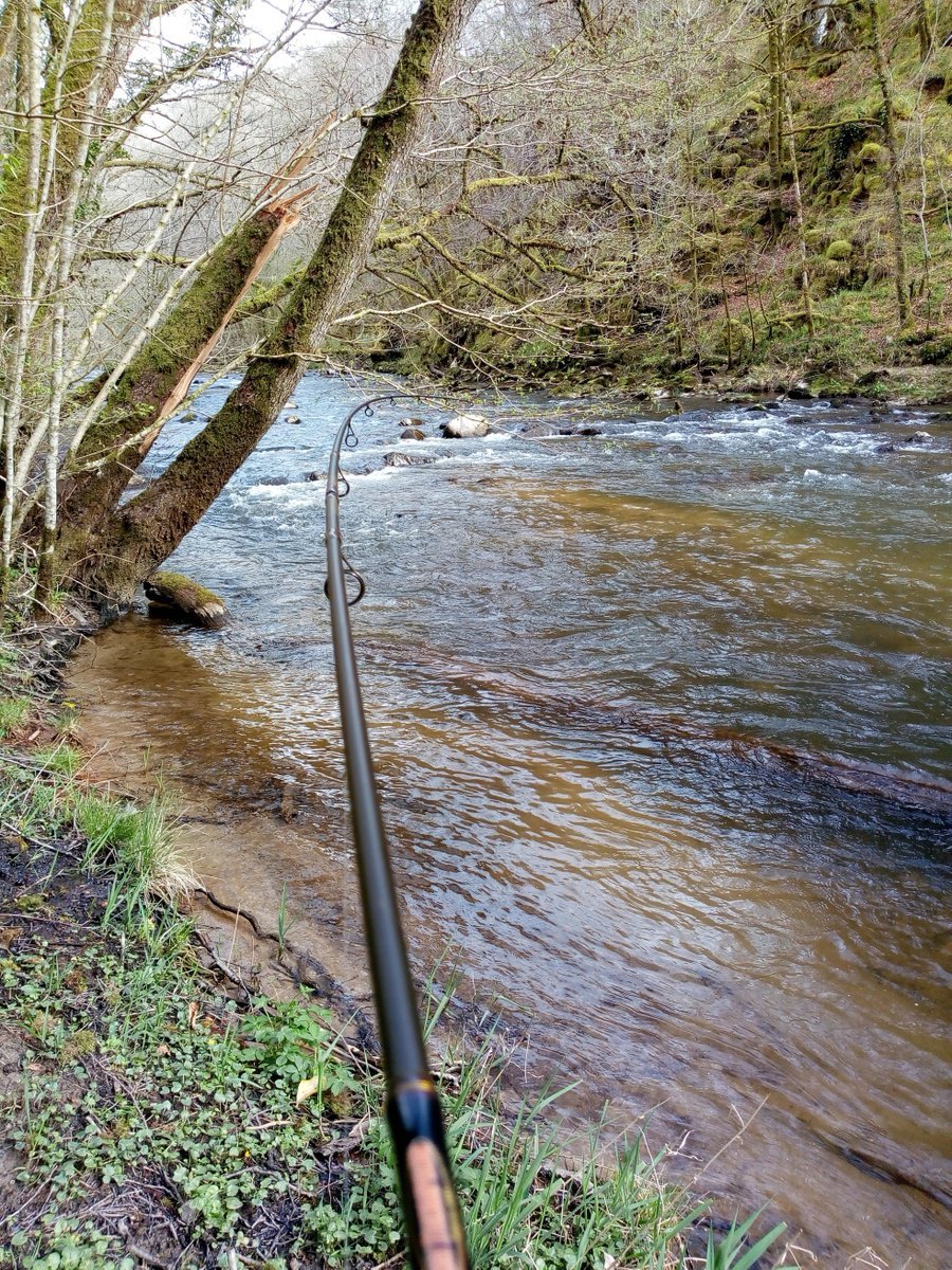 PêcheNvelleAquitaine tweet media
