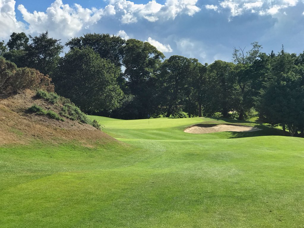 Matt Ginella tweet media