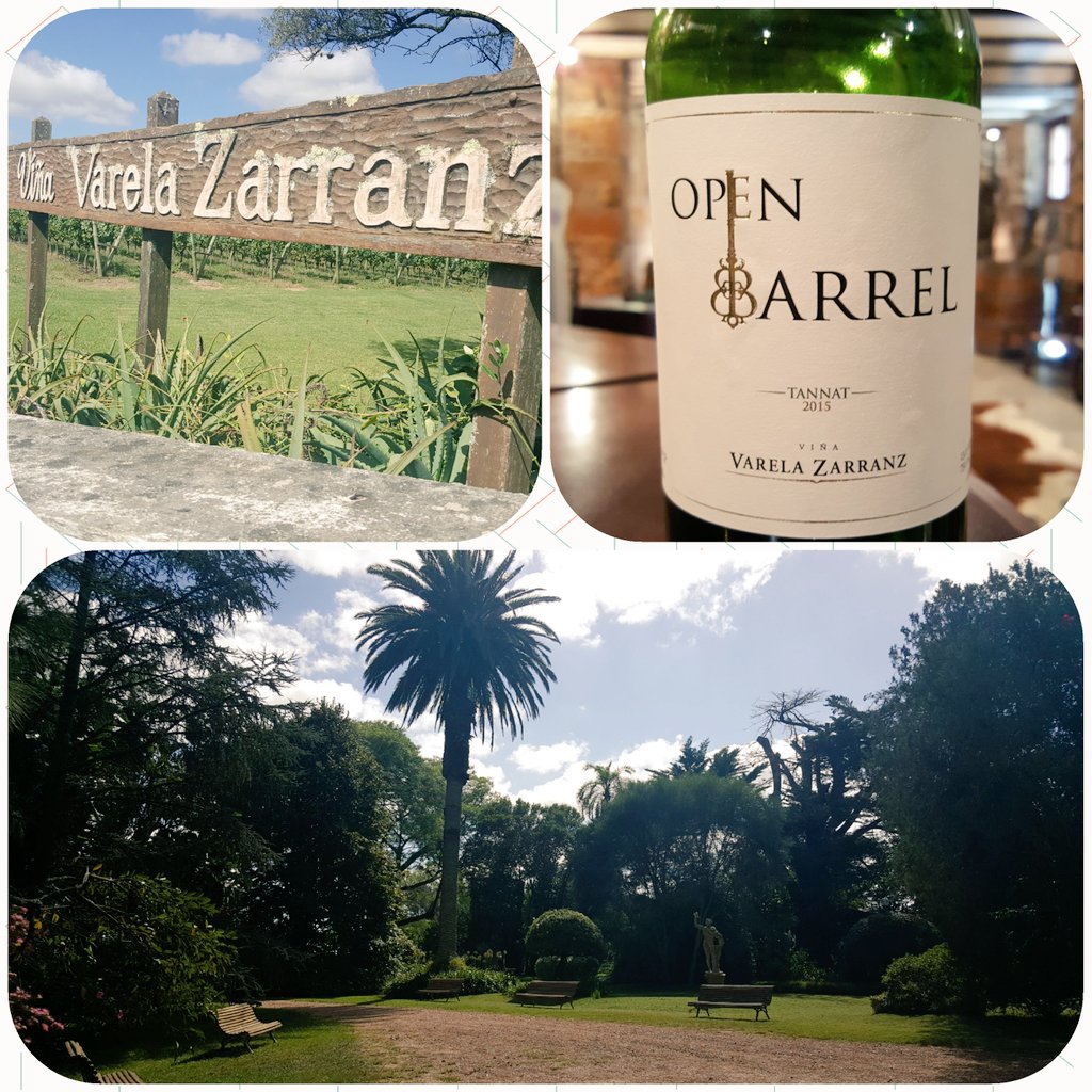 LatinaWine's tweet photo. Wonderful Tannat. Open Barrel 2015 - Varela Zarranz. Canelones, Joaquin Suarez - Uruguay. 93pts Latinawine @VarelaZarranz @winesofuruguay @BdelU https://t.co/FciAh951fD