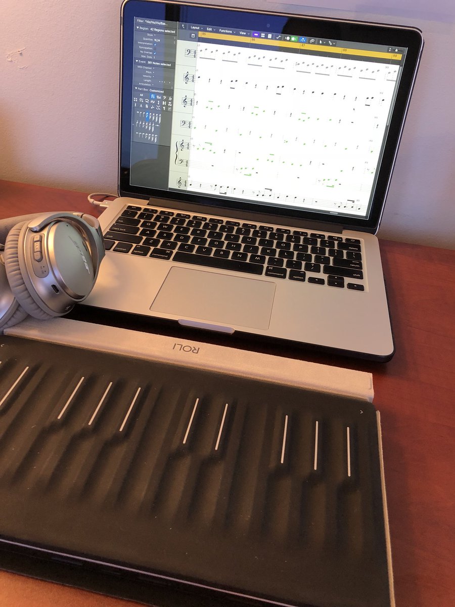 druej's tweet photo. @WeAreROLI @fxpansion #myseaboard I recommend writing a little everyday...like muscle memory keeping it in shape, you never know when that next great thing is gonna come outta you!! https://t.co/z9otFaulmK