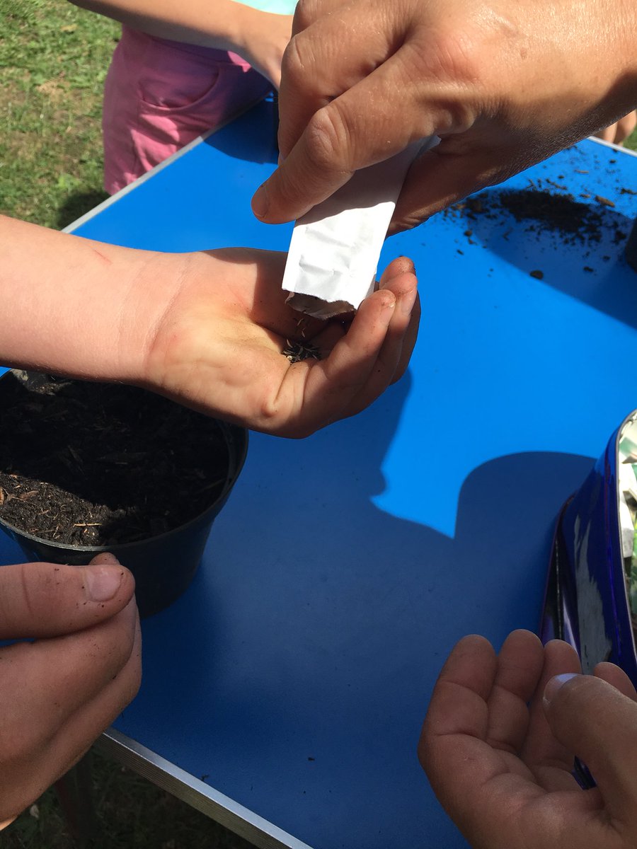 EdibleElswick's tweet photo. The sun was shining on us today on Hawthorn Place ☀️ 

Litter picking, planting, crafts and sandwiches! 

Thanks to our little group of enthusiast growers! 

Next stop - Tuesday 7th August, 11am-1pm, Belgrave Parade, Rye Hill Estate https://t.co/c6tOiNVuMv