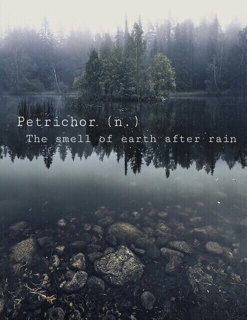 TiffanysTrends's tweet photo. Haven't posted on here in ages. Gotta say this is one of my favourite things in life. 💧💧☁☁ https://t.co/wNshj0ttFk