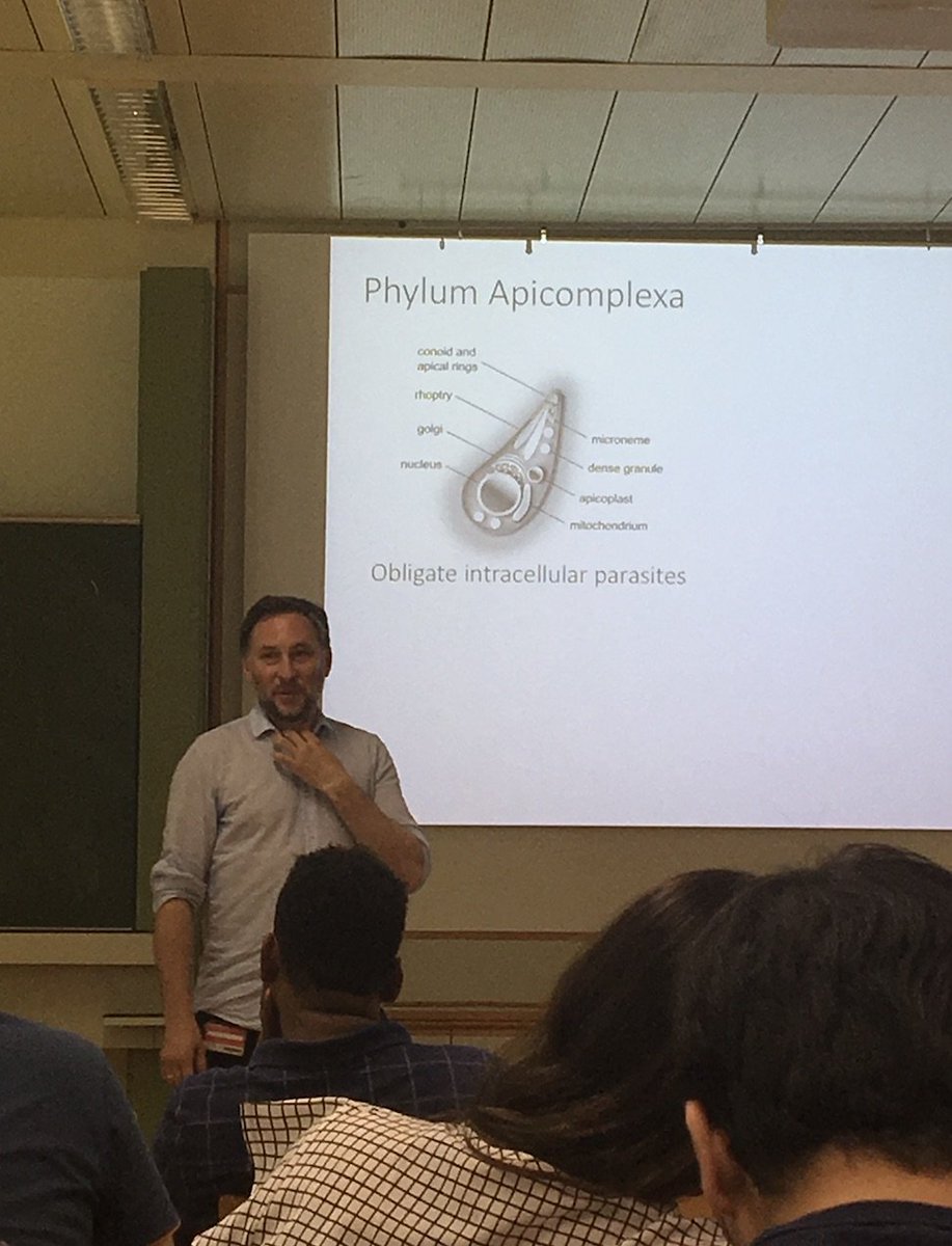 mideastbop's tweet photo. Philip Olias giving a talk on Theileria to #MeBoP2018 students https://t.co/fMDaZ0QMqc