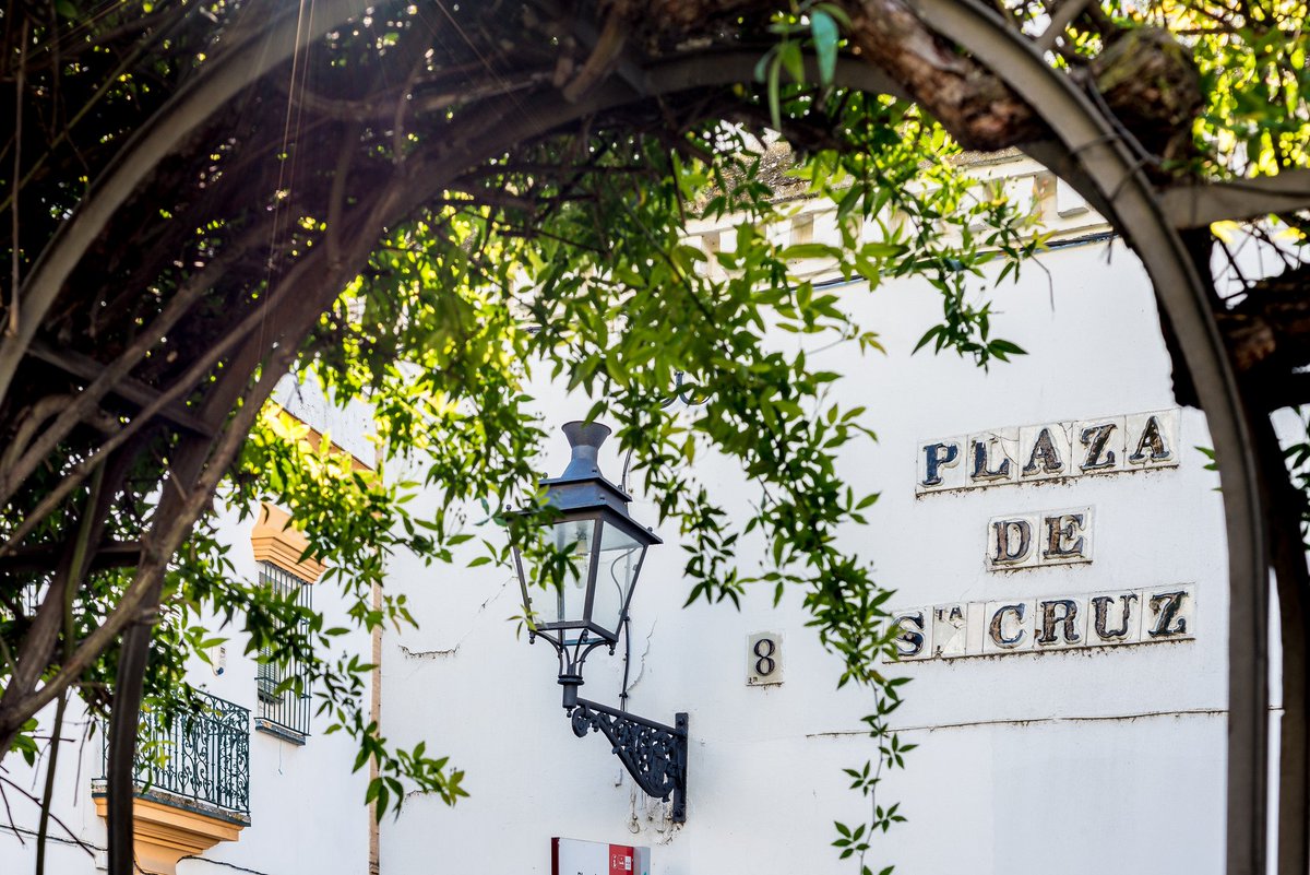 sevillaciudad's tweet photo. Poco barrios tienen tanto encanto como el de Santa Cruz en #Sevilla. Su entramado de calles, plazas y pasajes te hacen sentir que el tiempo se detiene, y al mismo tiempo te transportan a épocas pasadas. https://t.co/uRL1qdDUE2 https://t.co/PNo80ZJho3