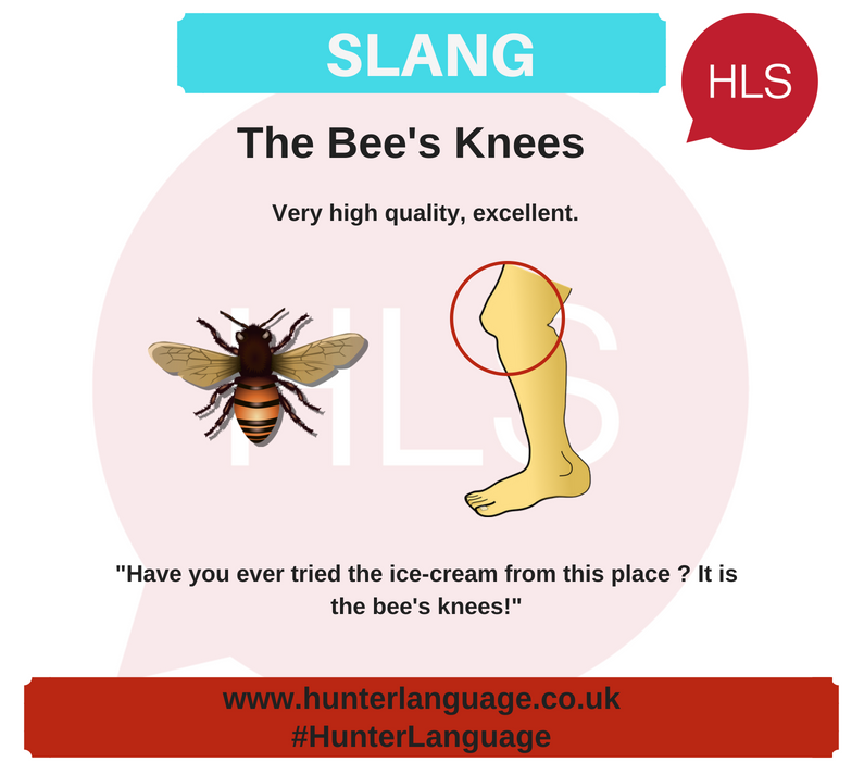 hunter_language's tweet photo. @hunter_language Slang of the Week: The bee's knees
#slangoftheweek #britishslang #learnenglish #englishslang #bristol #speakenglish #HunterLanguage #HLS #WeAreHLS https://t.co/15JxGeRwuw
