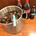 一度はやってみたい？キンキンに冷えたコーラをバケツいっぱいにして飲む!