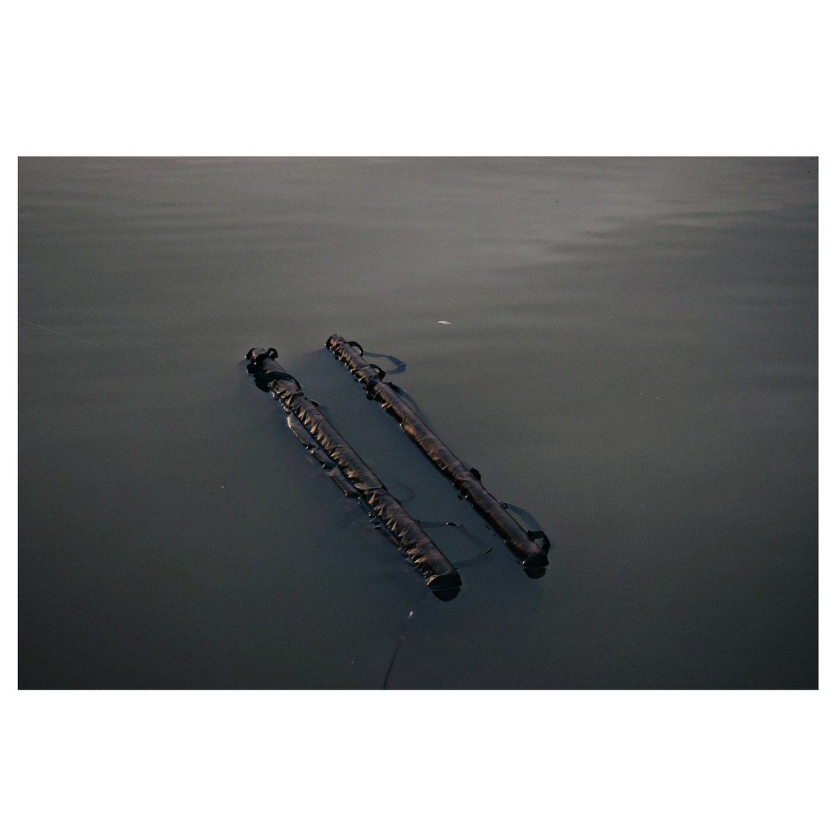 Good morning.....Ready for your photo shoot?
#thebeardedfisherman #tackleandbaits #DNABaits #redefiningquality #teamkorda #kordaofficial #danglersnation #monkeyclimber #carpy #thatscarpy #carpfishinguk #angling  #carpology #englishcarping #photograpgy #instaphotography #nikon