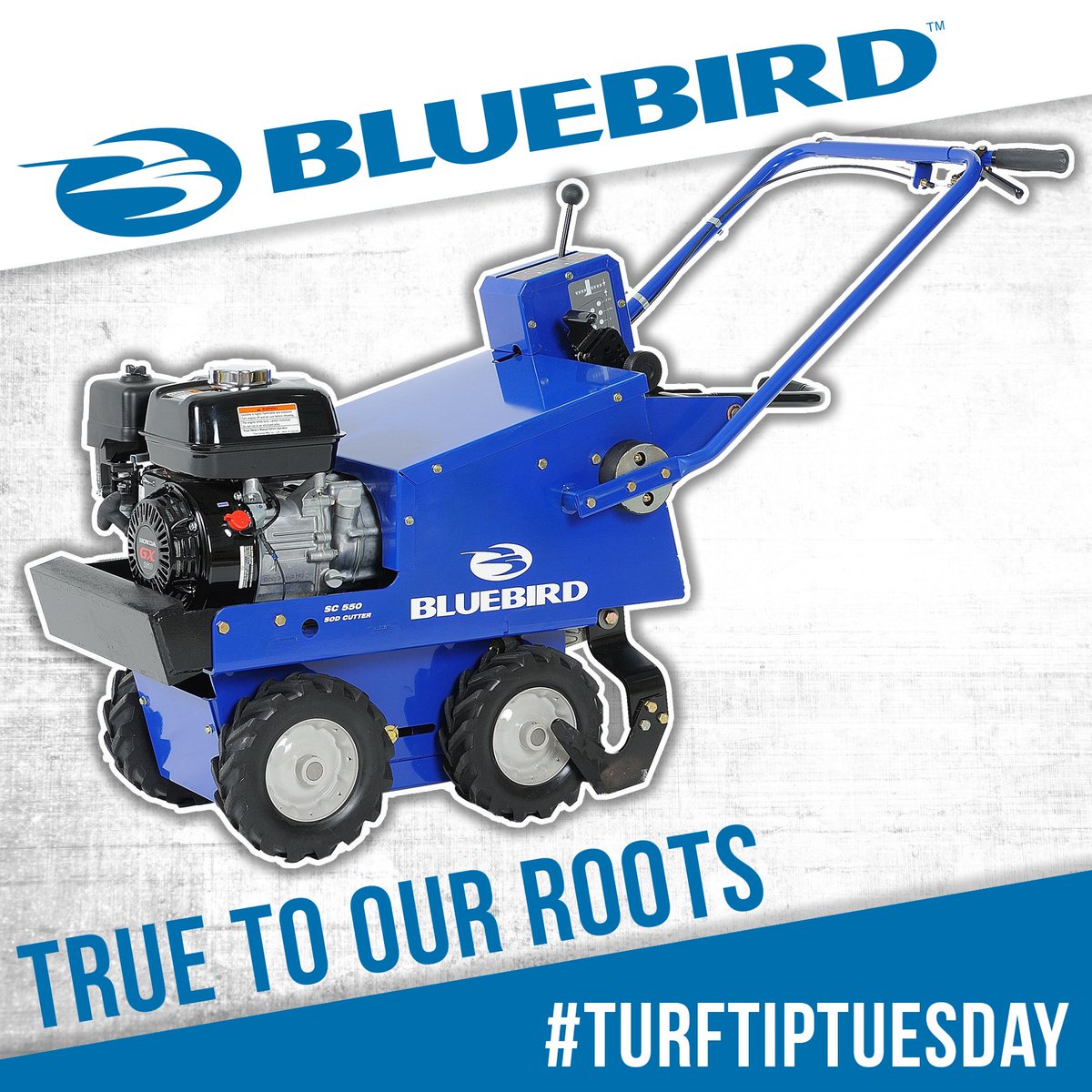 When cutting sod, please to work in small sections and mark out the entire area of sod you want to cut away #TurfTipTuesday
