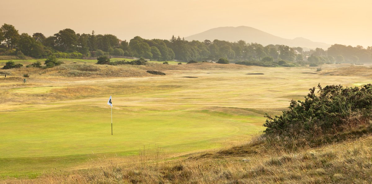 Links With History tweet media