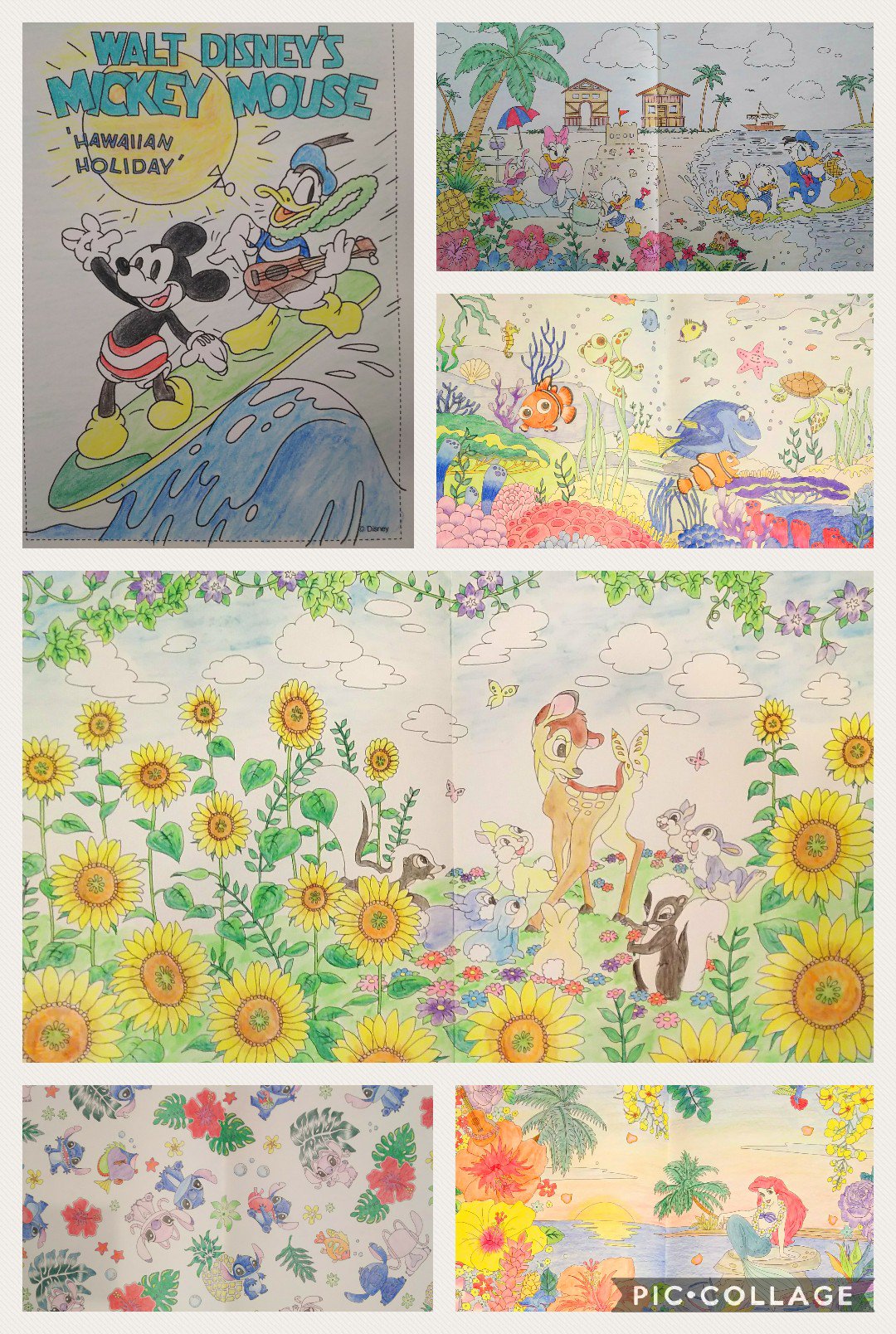 アルフォンス 四季を彩るディズニー塗り絵の本から 過去に塗った夏っぽいものを 夏の塗り絵